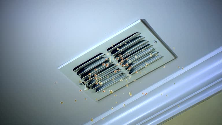 Best Affordable Air Duct Cleaning  in Butner, NC